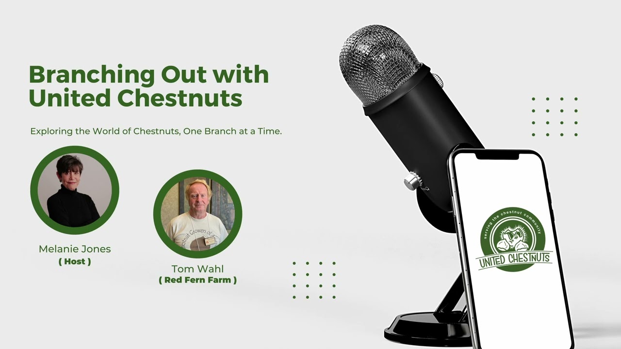 Branching Out Podcast with Tom Wahl & Host Melanie Jones of United Chestnuts
