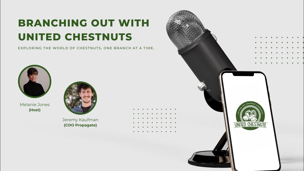 Cultivating the Future: Agroforestry and Chestnut Farming in Kentucky | Branching Out