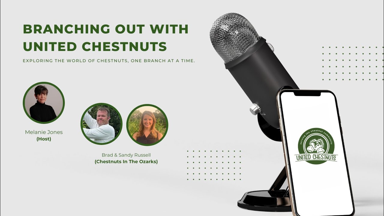 Roots of Sustainability: Chestnut Farming in the Ozarks | Branching Out