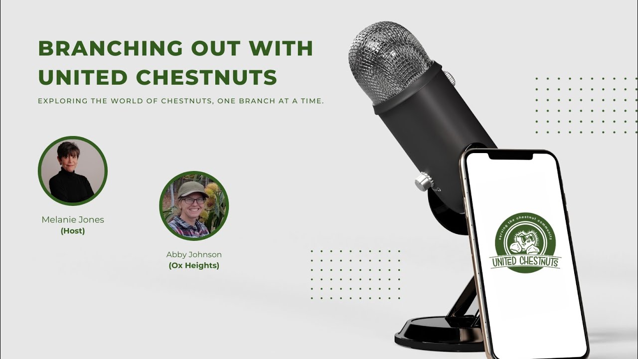 Growing Dreams: Abby Johnson's Journey in Chestnut Farming | Branching Out