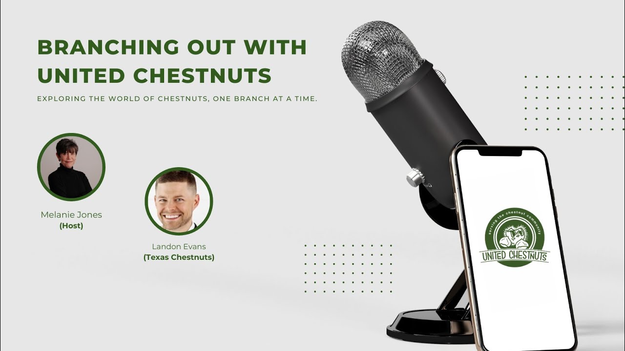 Unlocking the Health Benefits of Chestnuts: Insights from an Expert | Branching Out