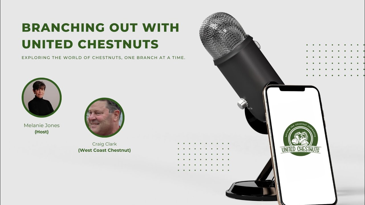Can Tissue Culture Save the Chestnut Industry?  | Branching Out