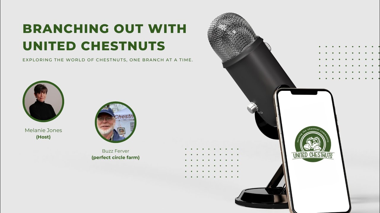 Cracking Chestnuts in Vermont: Growing Blight-Resistant Trees | Branching Out