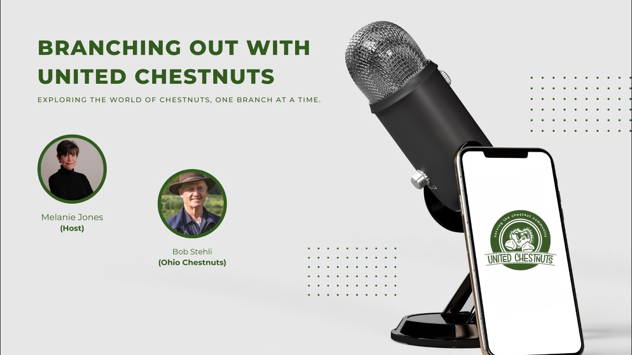 Bob Stehli Shares His Chestnut Farming Journey | Branching Out