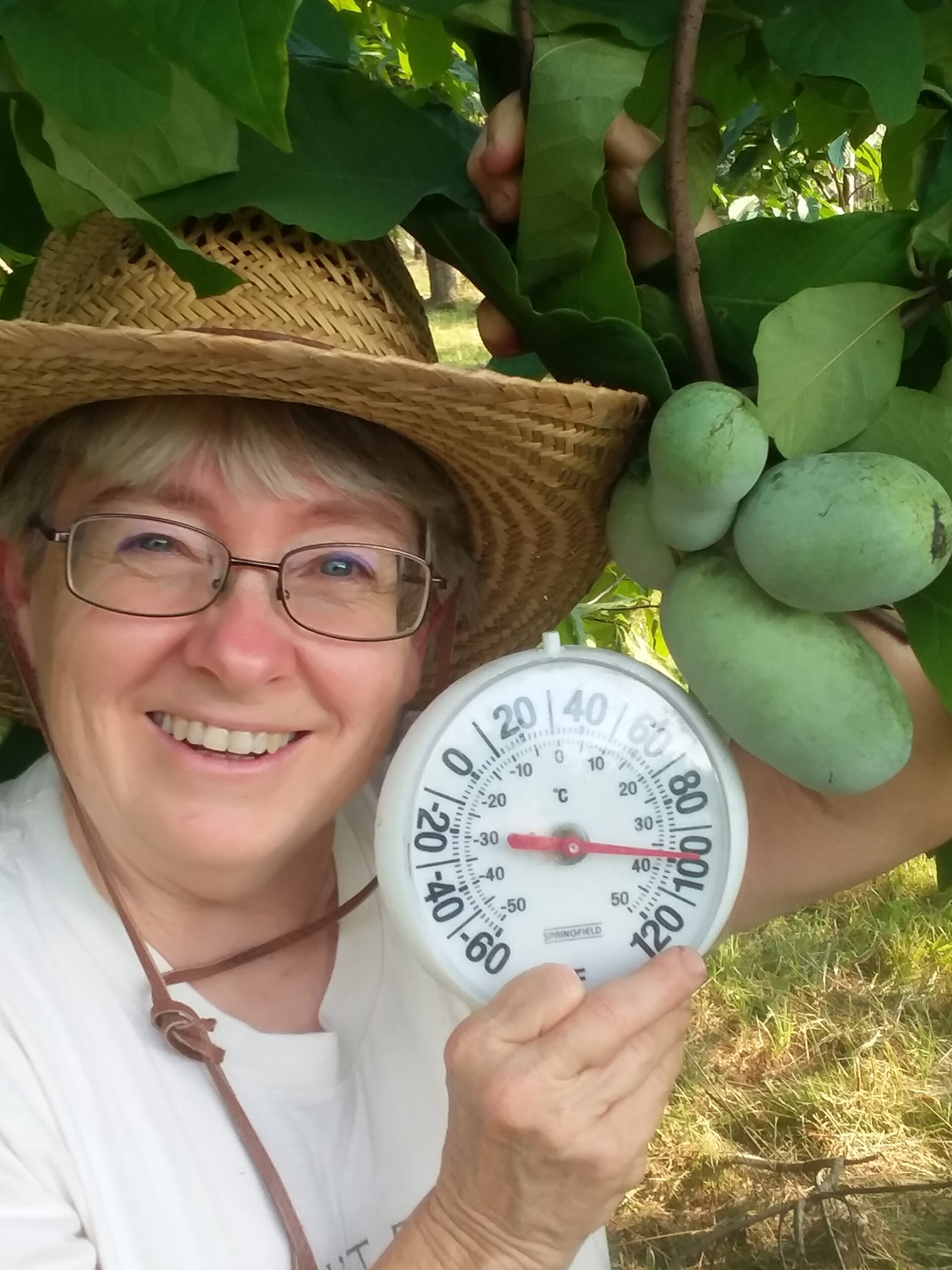 Kathy Dice - Chestnut industry leader and innovator Kathy Dice - Another woman leading the chestnut industry.