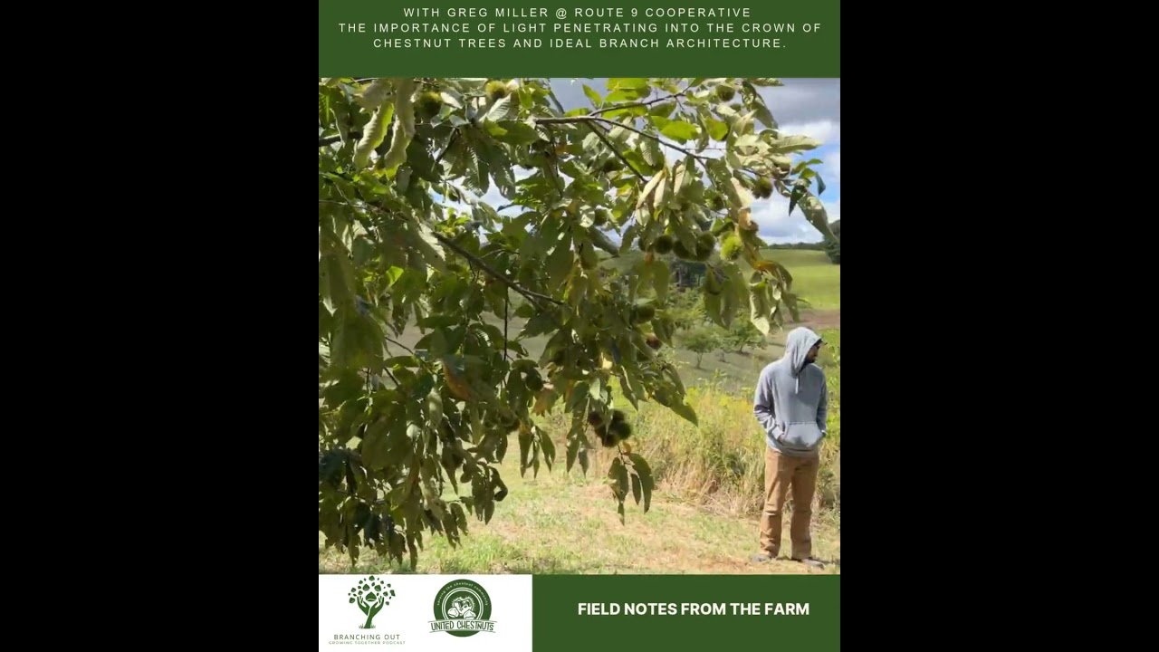 Field Notes From The Farm: Greg Miller at Route 9 Cooperative - Chestnut Tree Branch Architecture