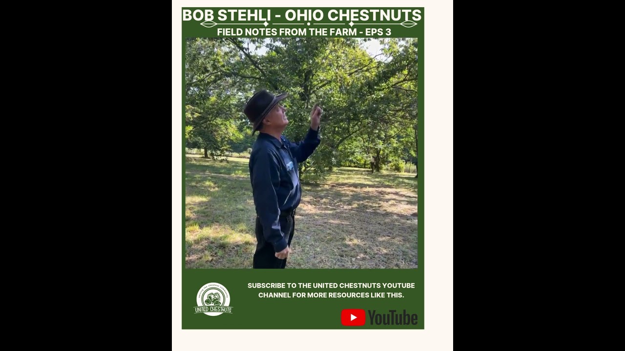 Field Notes From The Farm: Bob Stehli - Ohio Chestnuts -Eps 3 #chestnuts #unitedchestnuts #bobstehli