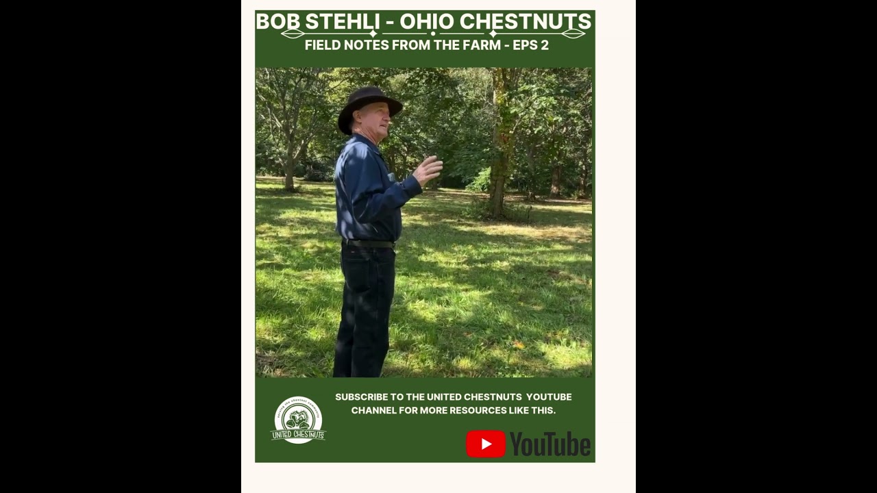 Field Notes From The Farm: Bob Stehli - Ohio Chestnuts -Eps 2 #chestnuts #unitedchestnuts #bobstehli