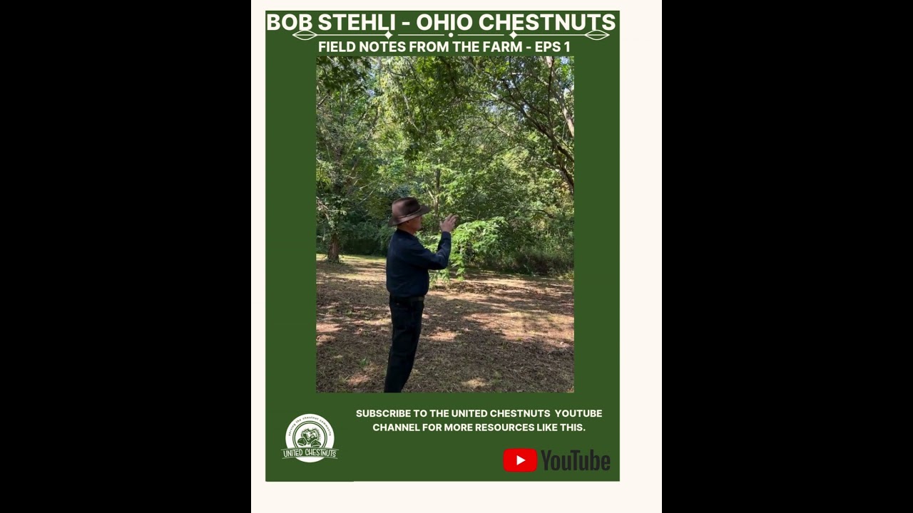 Field Notes From The Farm: Bob Stehli - Ohio Chestnuts -Eps 1 #chestnuts #unitedchestnuts #bobstehli