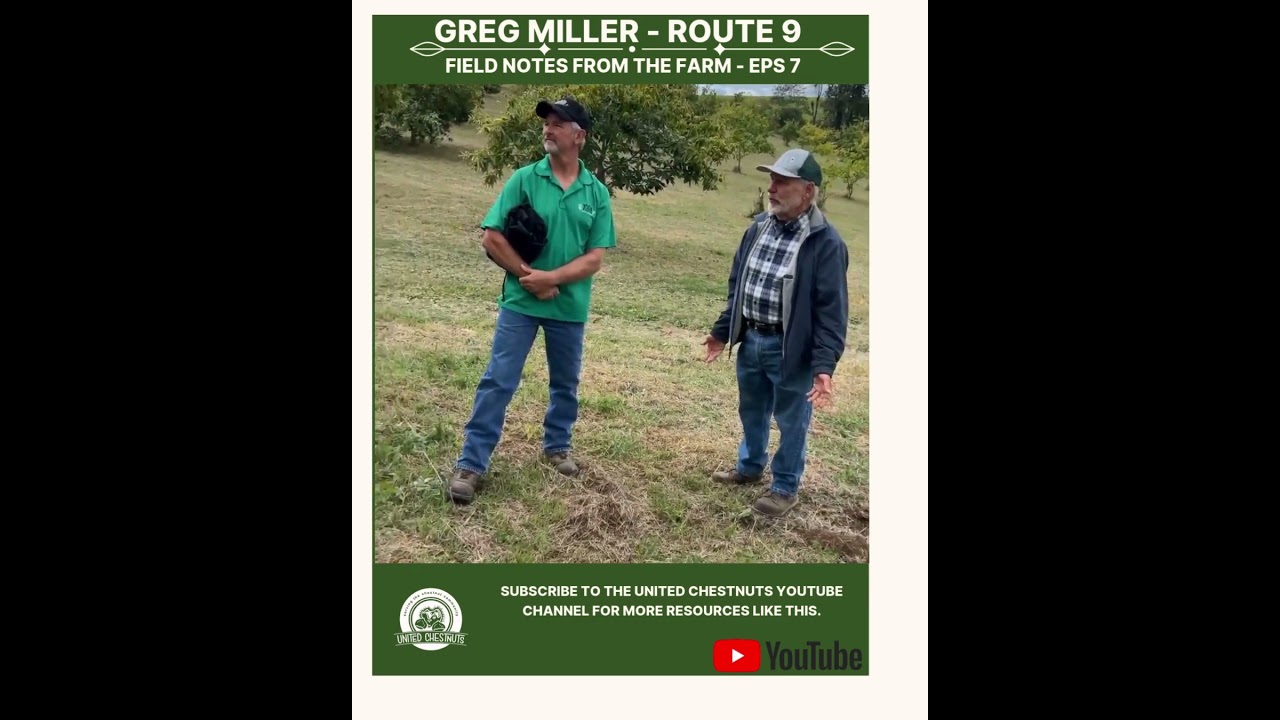 Field Notes From The Farm: Greg Miller – Route 9 – Eps 7 #chestnuts #unitedchestnuts #route9
