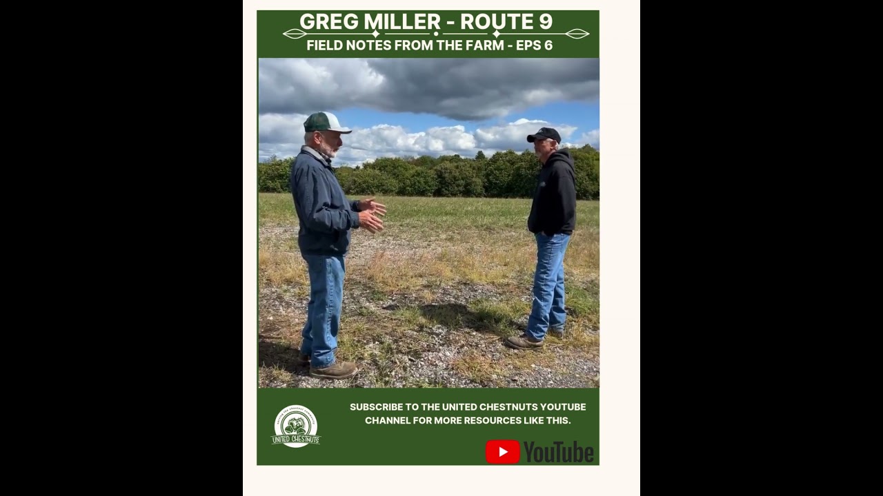 Field Notes From The Farm: Greg Miller – Route 9 – Eps 6 #chestnuts #unitedchestnuts #route9
