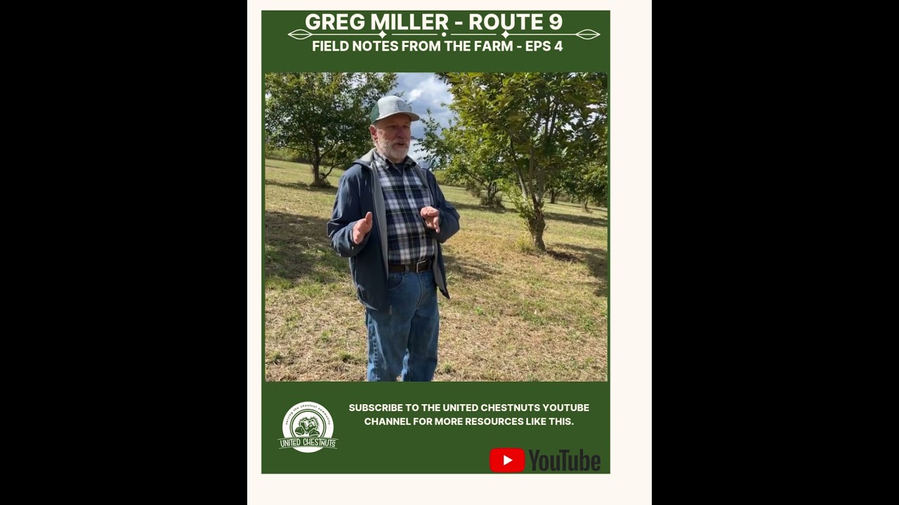 Field Notes From The Farm: Greg Miller – Route 9 – Eps 4 #chestnuts #unitedchestnuts #route9