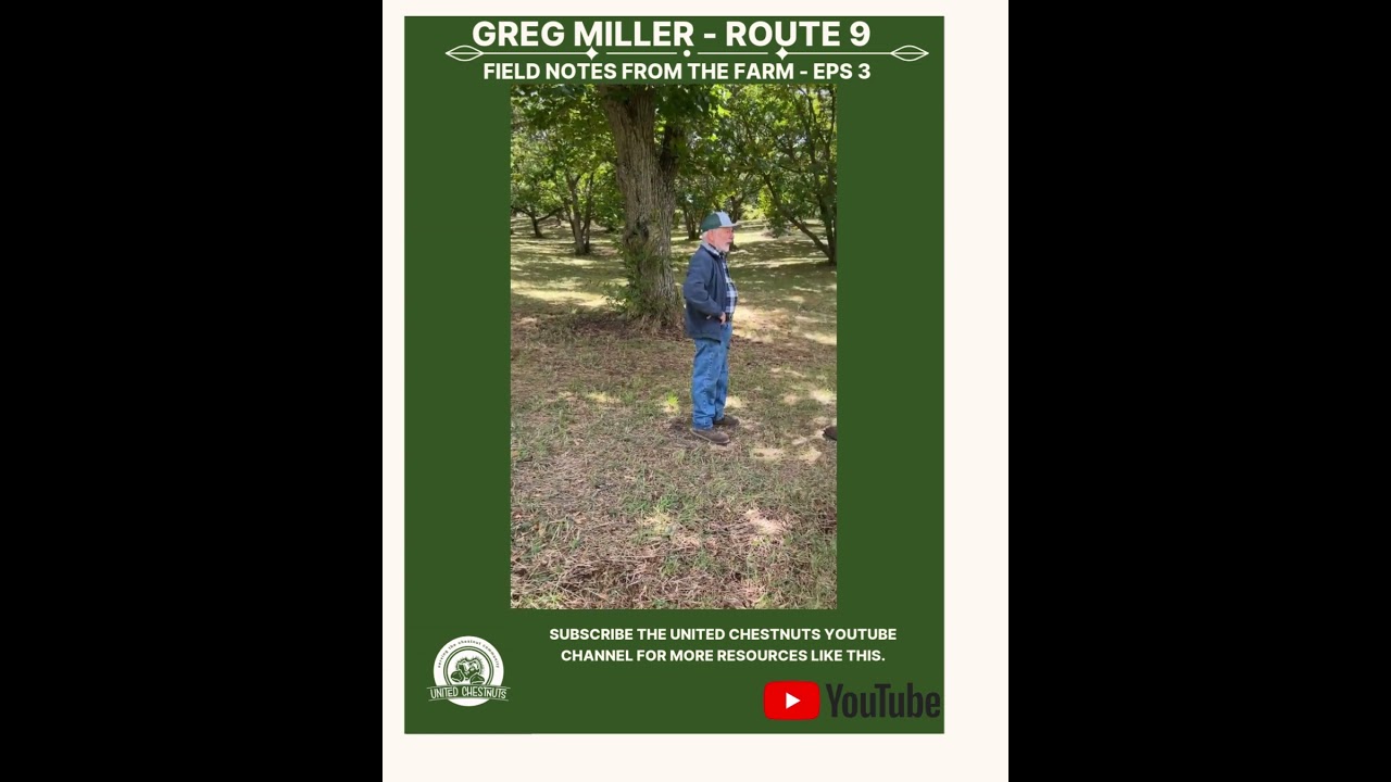 Field Notes From The Farm: Greg Miller – Route 9 – Eps 3 #chestnuts #unitedchestnuts #route9