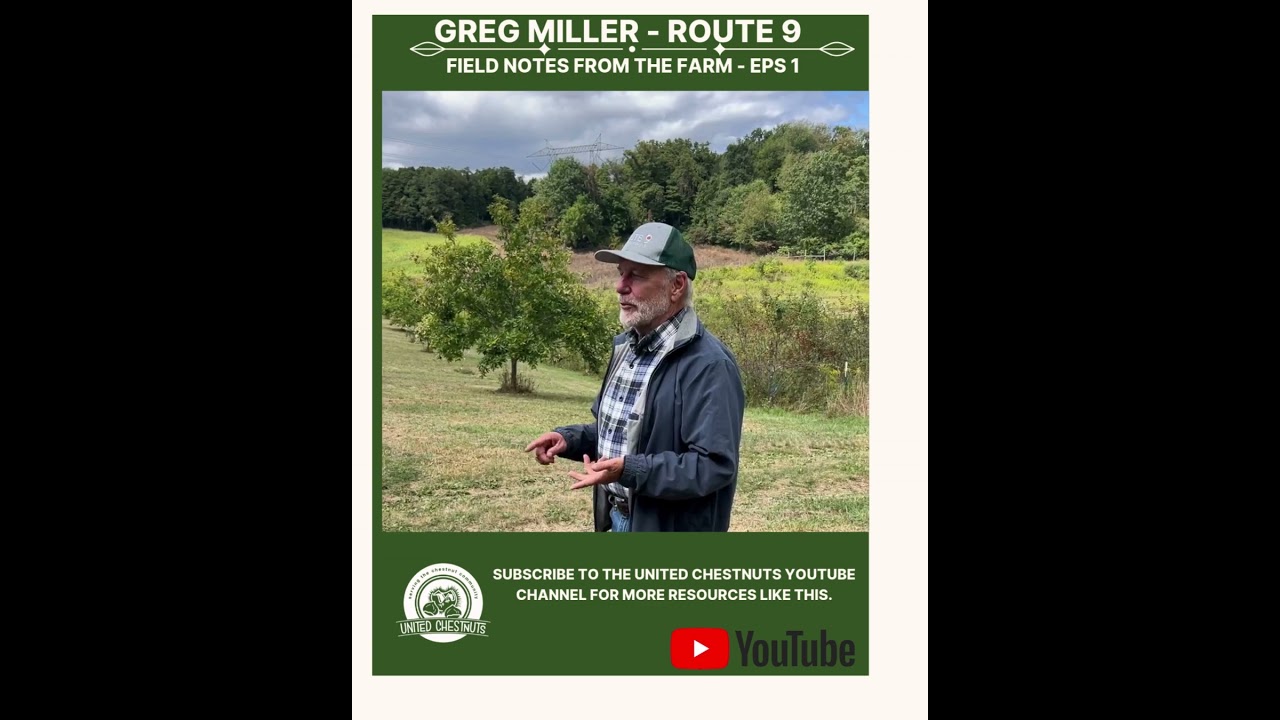 Field Notes From The Farm: Greg Miller – Route 9 – Eps 1 #chestnuts #unitedchestnuts #route9