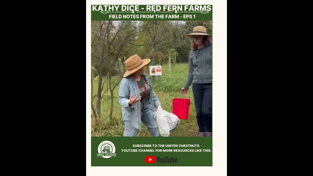 Field Notes From The Farm: Kathy Dice - Red Fern Farms #chestnuts #unitedchestnuts #redfernfarms