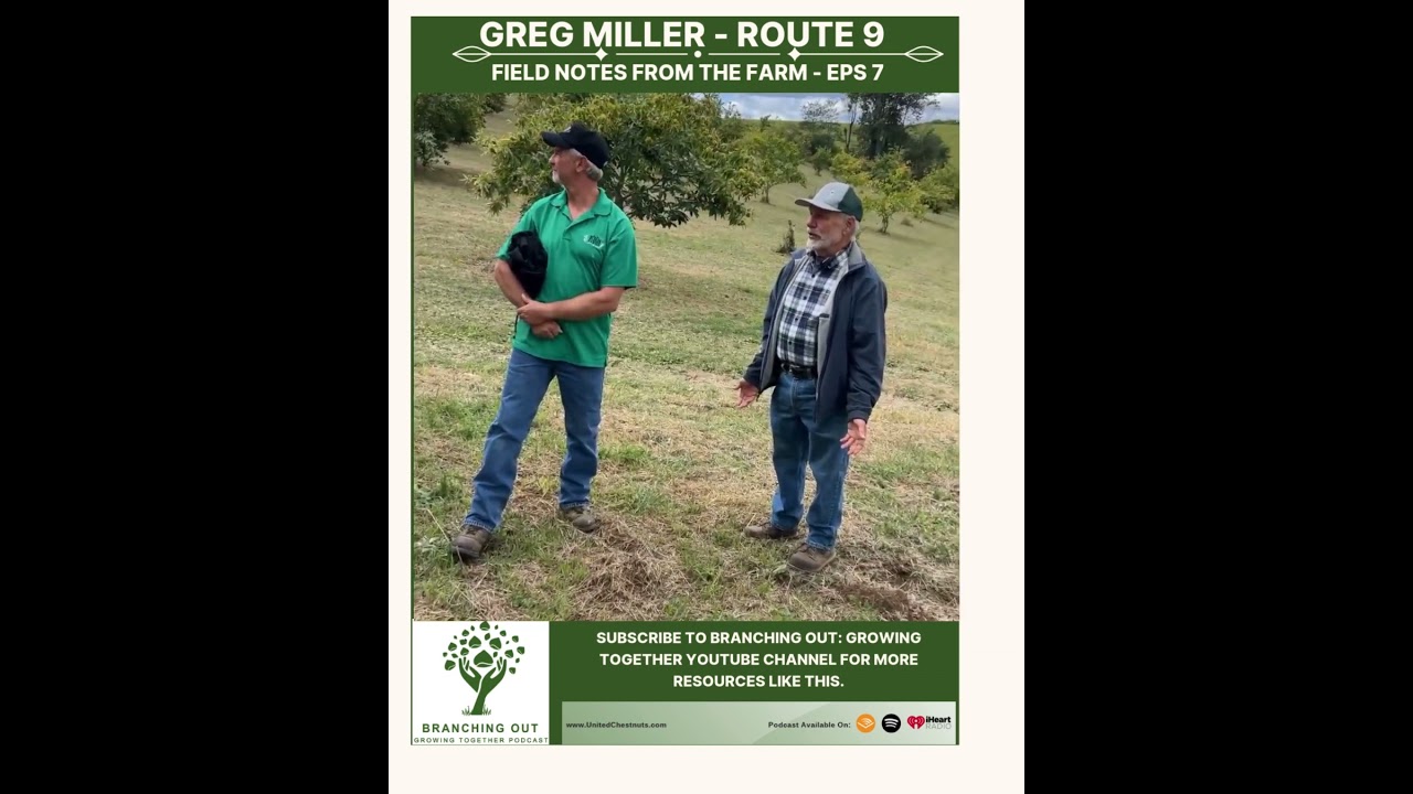 Field Notes From The Farm: Greg Miller – Route 9 – Eps 7 #chestnuts #unitedchestnuts #route9coop