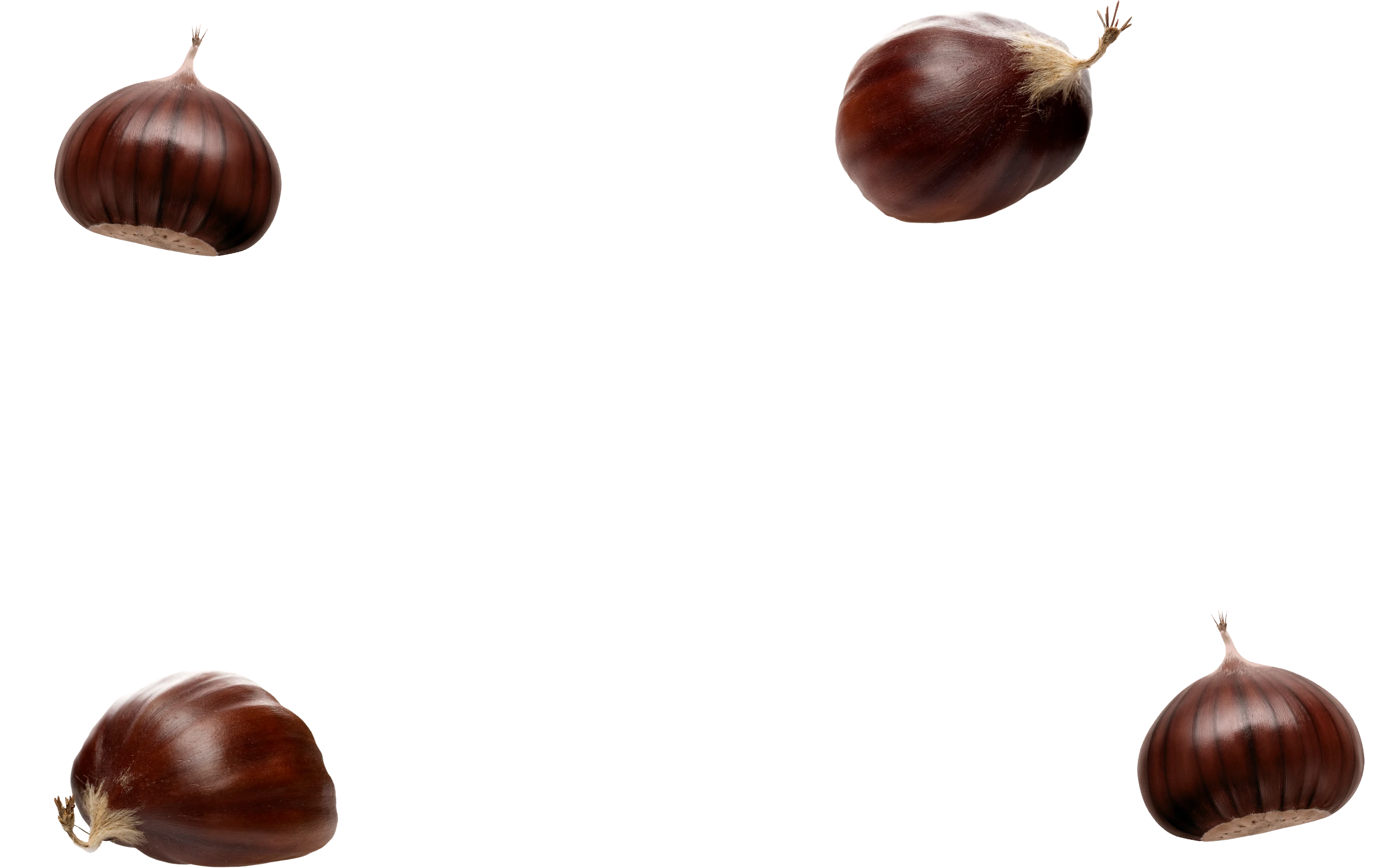Nut-Layer-A-2